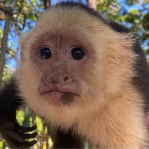 Meet your Posher, Karrie